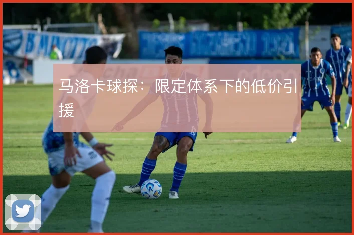 马洛卡球探：限定体系下的低价引援