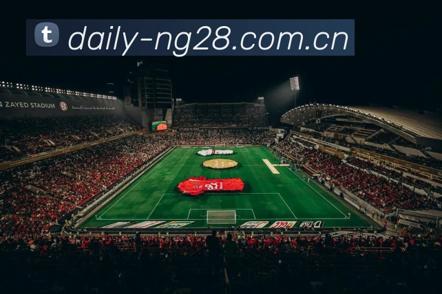 NG28APP 封面图